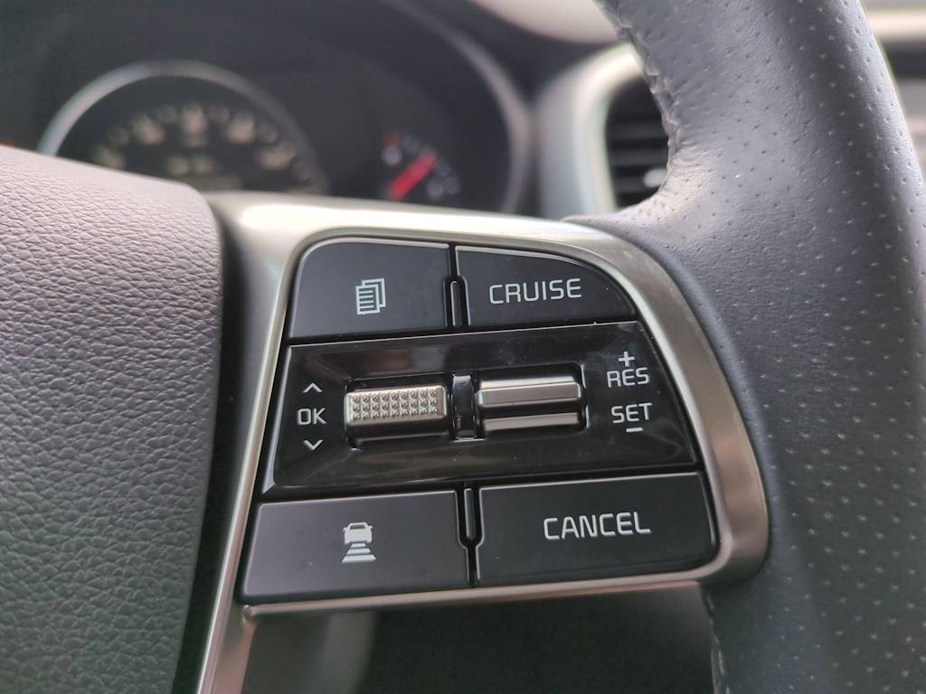 2019 Kia Sorento SX 31
