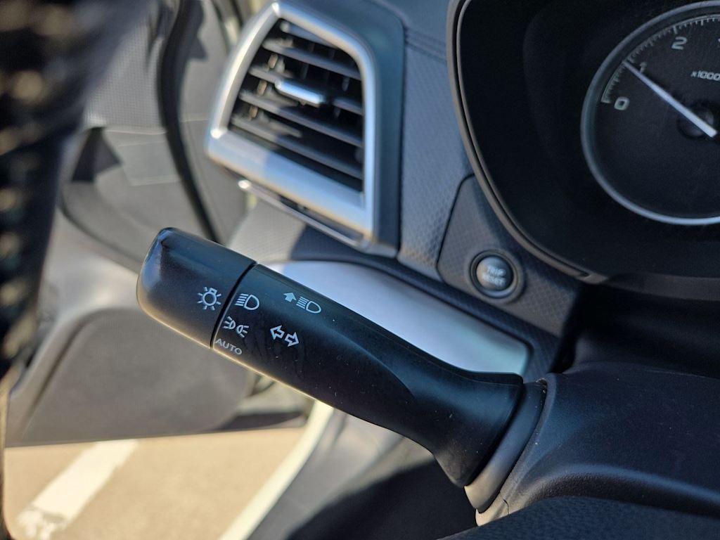 Thumbnail: 2019 Subaru Forester - 29