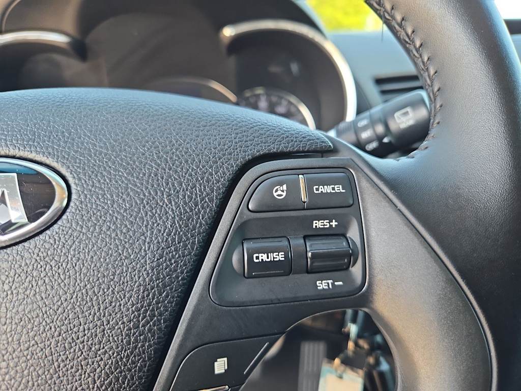 Thumbnail: 2016 Kia Forte - 27