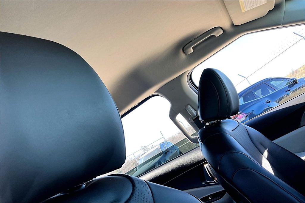 Thumbnail: 2022 Kia Carnival - 21