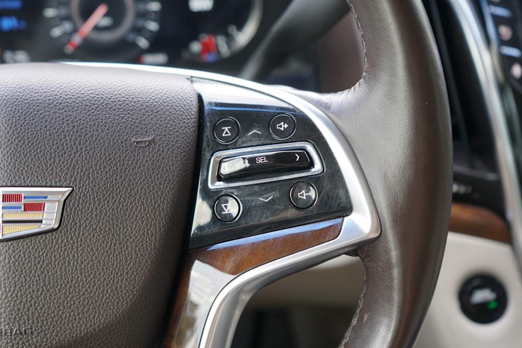 Thumbnail: 2016 Cadillac Escalade - 17