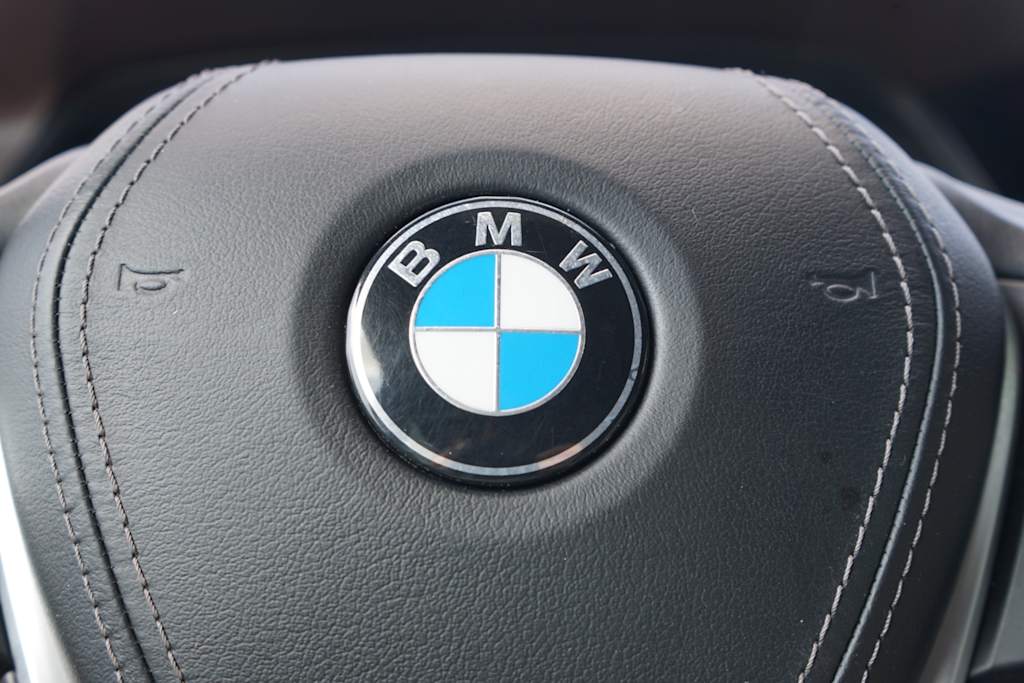 Thumbnail: 2019 BMW X5 - 18
