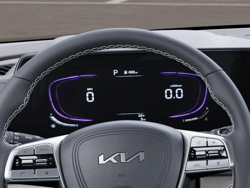 2025 Kia Telluride EX 11