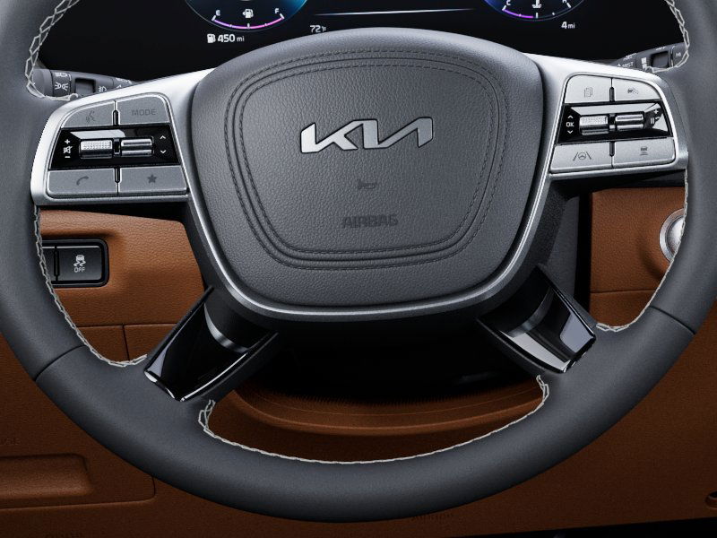 2025 Kia Telluride SX 23