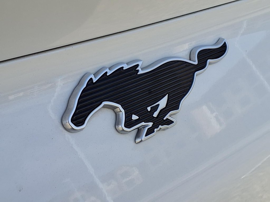 Thumbnail: 2023 Ford Mustang Mach-E - 7