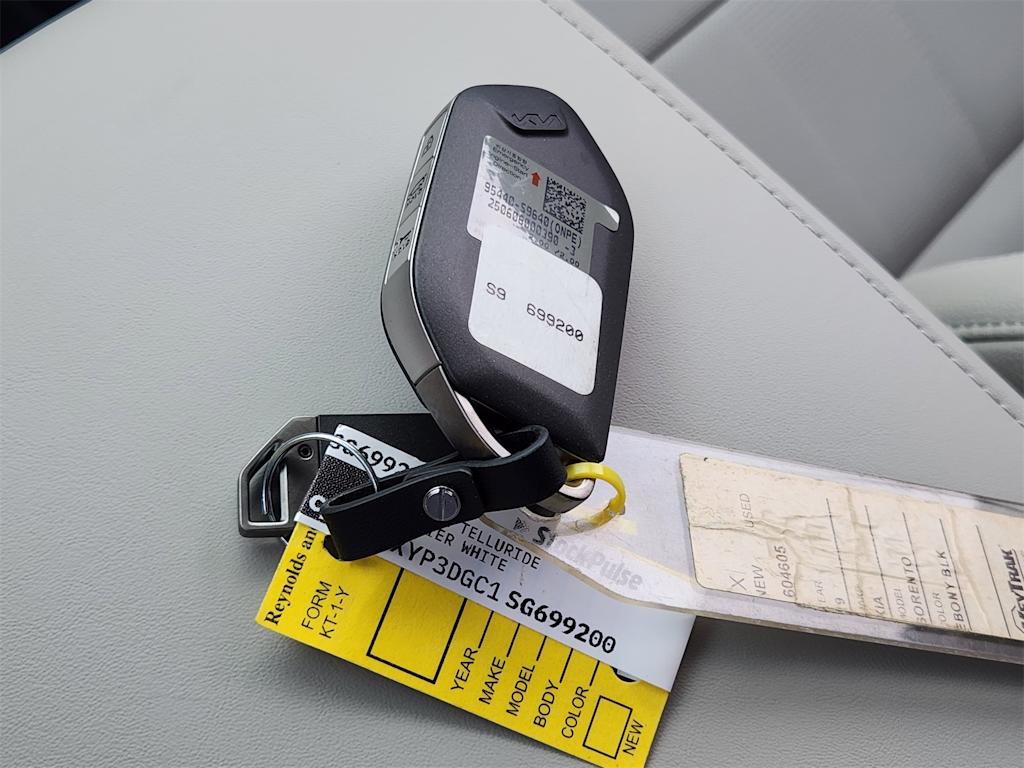 Thumbnail: 2025 Kia Telluride - 17