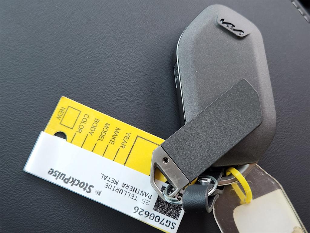 Thumbnail: 2025 Kia Telluride - 16