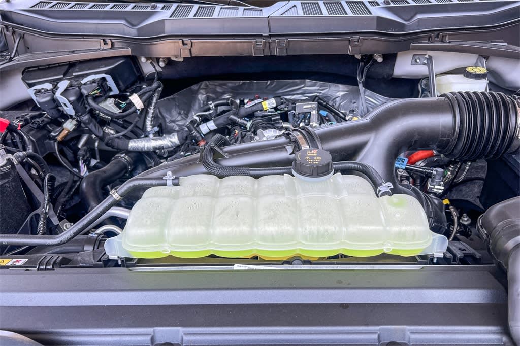 2024 Ford F-150 STX 8