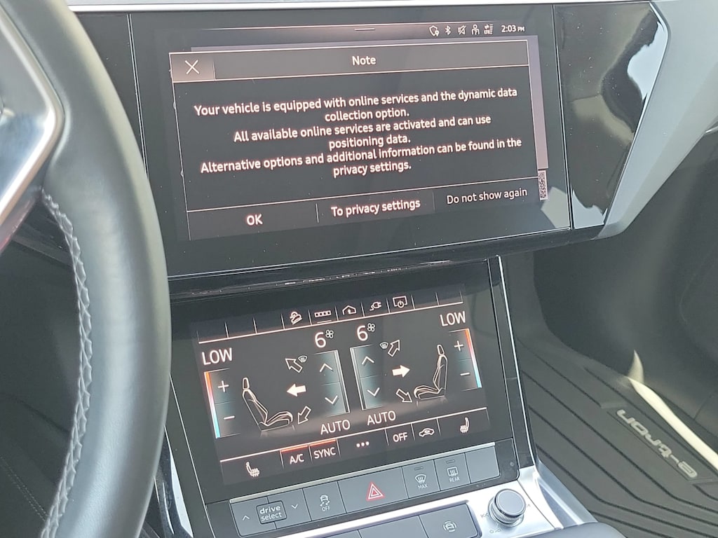 Thumbnail: 2024 Audi Q8 e-tron - 15