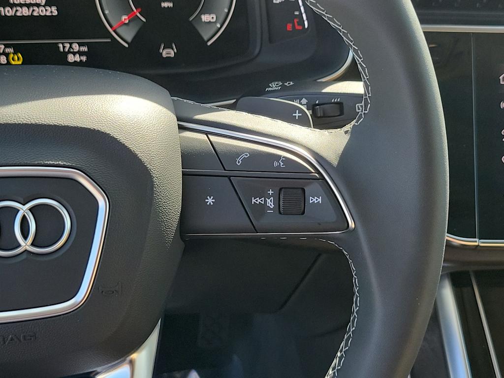 Thumbnail: 2025 Audi Q8 - 25