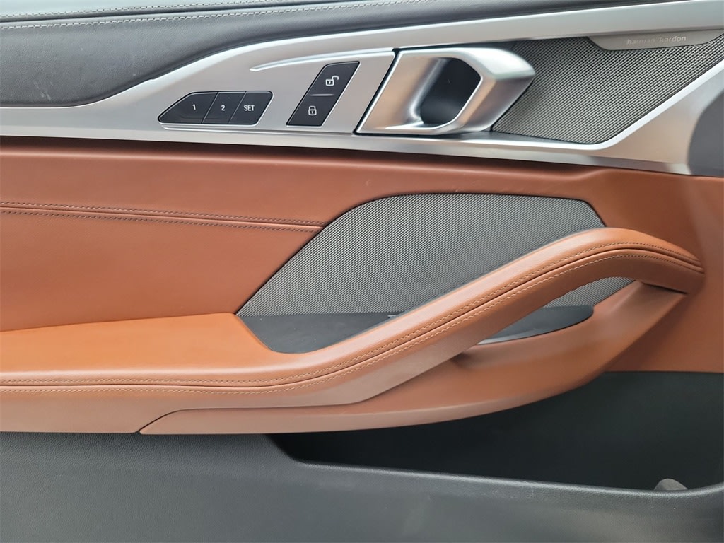 Thumbnail: 2020 BMW 8 Series - 29