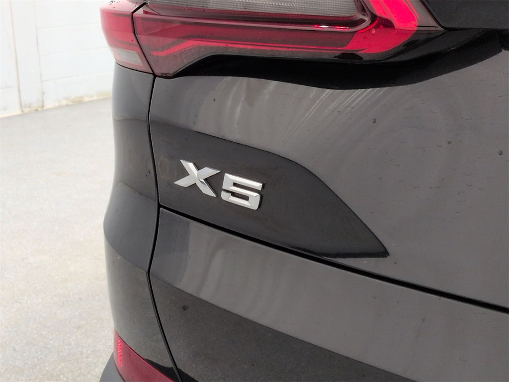 Thumbnail: 2019 BMW X5 - 7