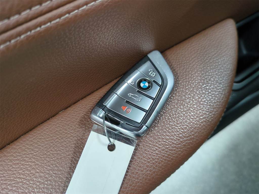 Thumbnail: 2017 BMW X5 - 38