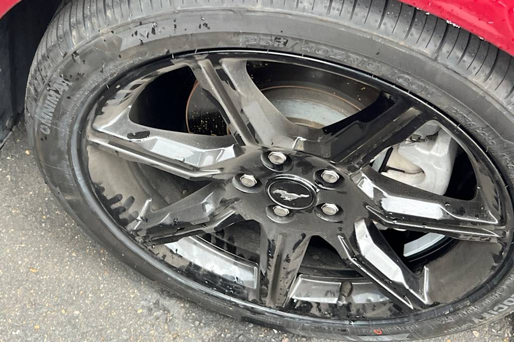 Thumbnail: 2019 Ford Mustang - 6