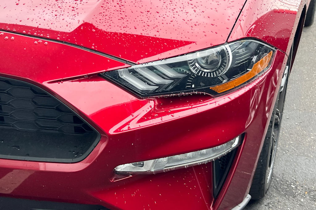 Thumbnail: 2019 Ford Mustang - 13