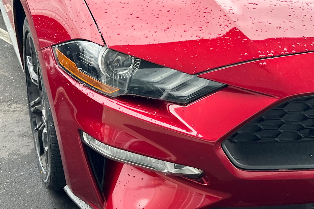 Thumbnail: 2019 Ford Mustang - 15