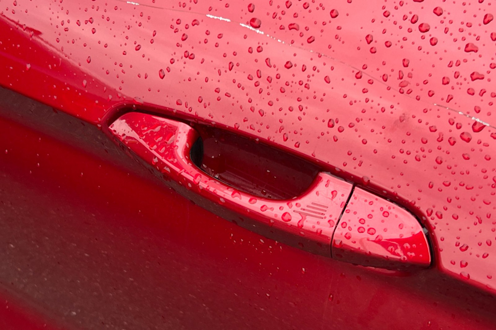 Thumbnail: 2019 Ford Mustang - 11