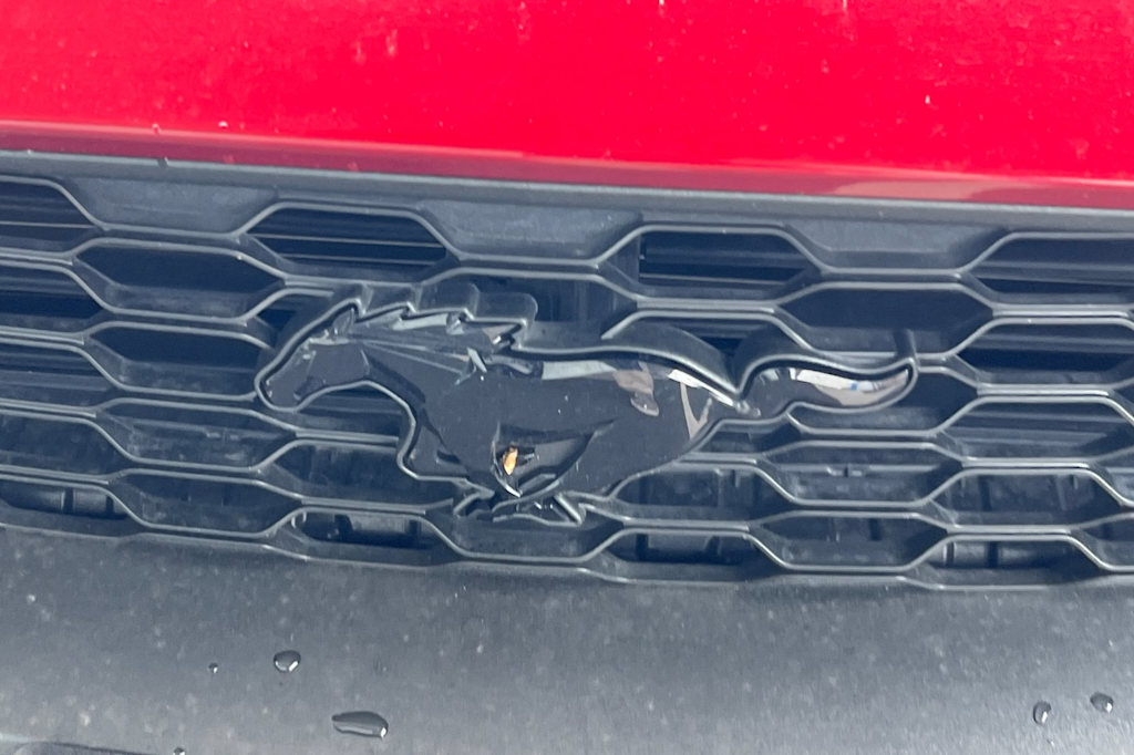 Thumbnail: 2019 Ford Mustang - 5