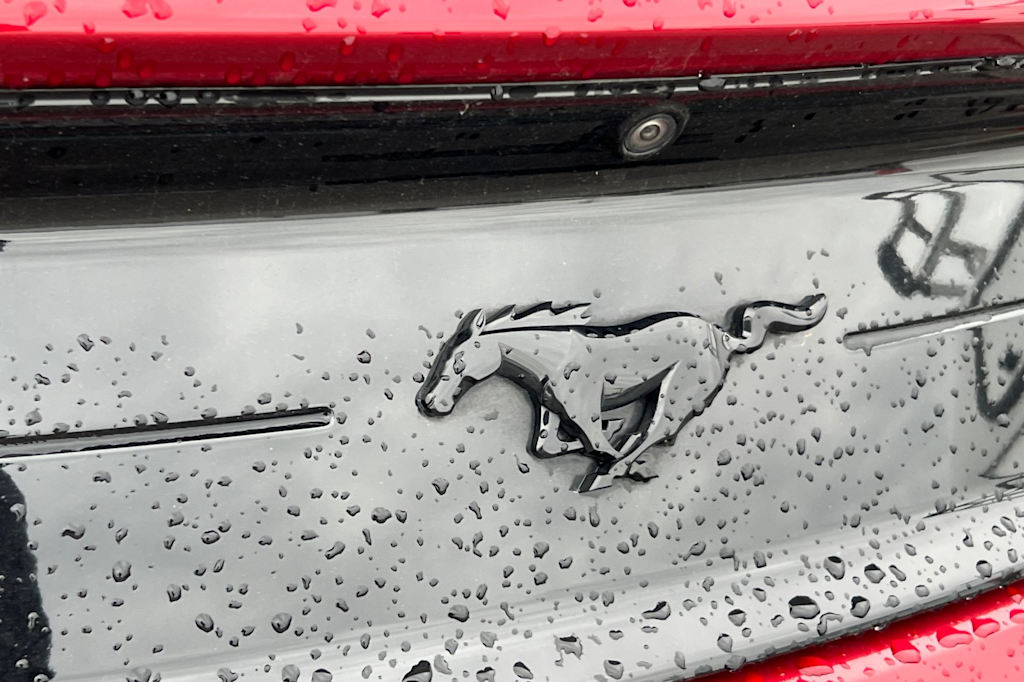 Thumbnail: 2019 Ford Mustang - 22
