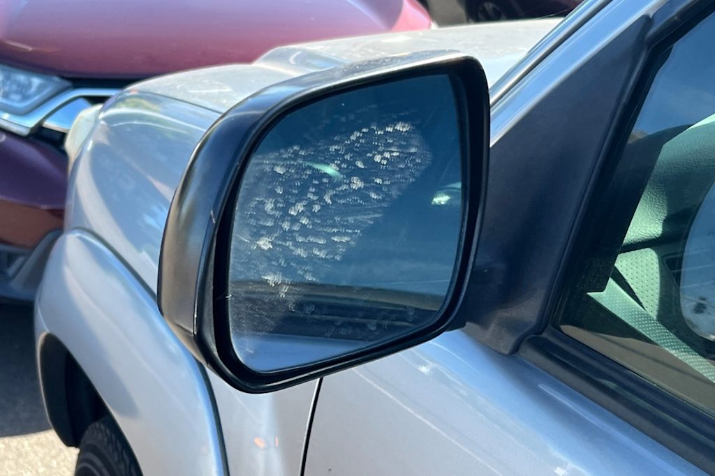 Thumbnail: 2014 Toyota Tacoma - 19