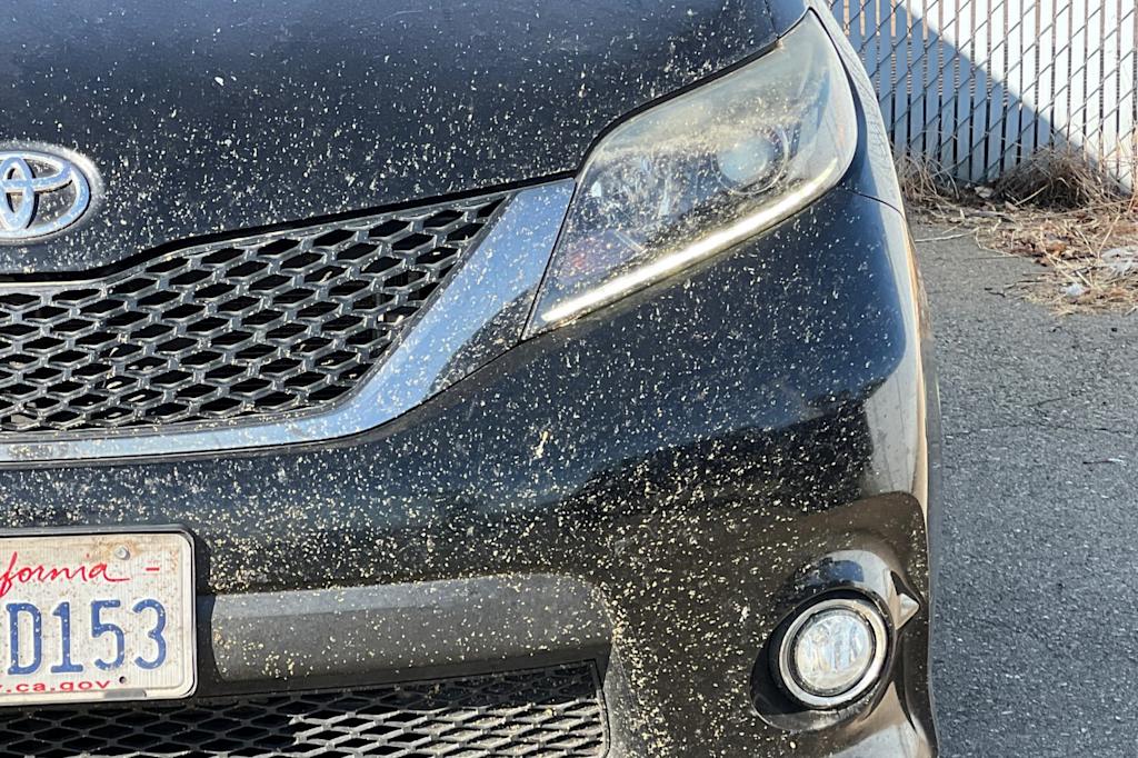 Thumbnail: 2015 Toyota Sienna - 16