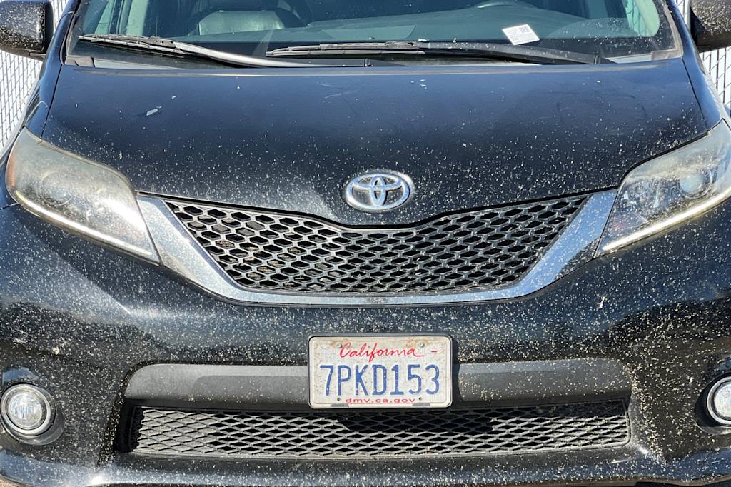 Thumbnail: 2015 Toyota Sienna - 7