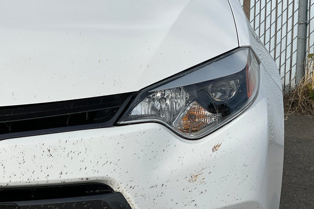 Thumbnail: 2016 Toyota Corolla - 16