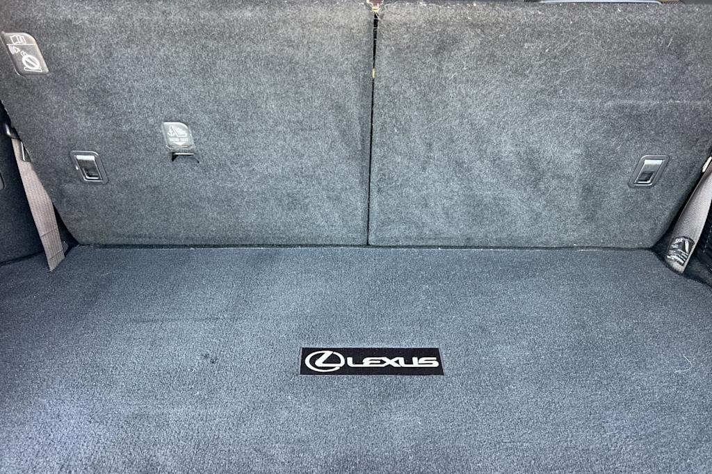 Thumbnail: 2019 Lexus RX - 15