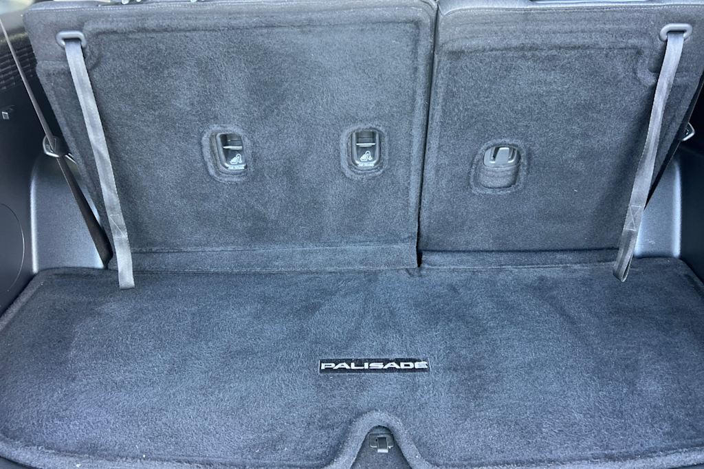 Thumbnail: 2021 Hyundai Palisade - 13