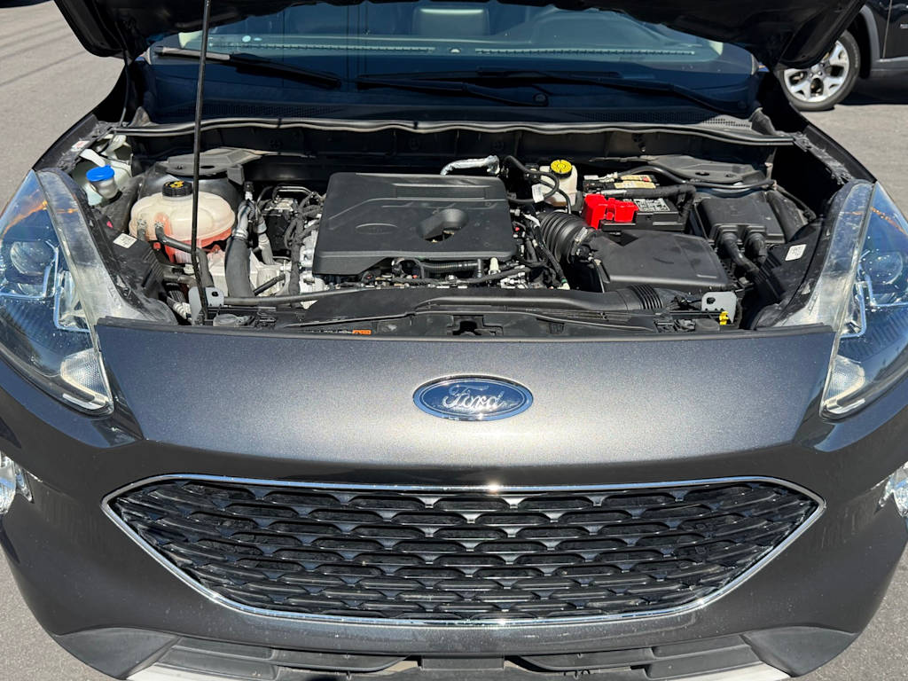Thumbnail: 2020 Ford Escape - 9