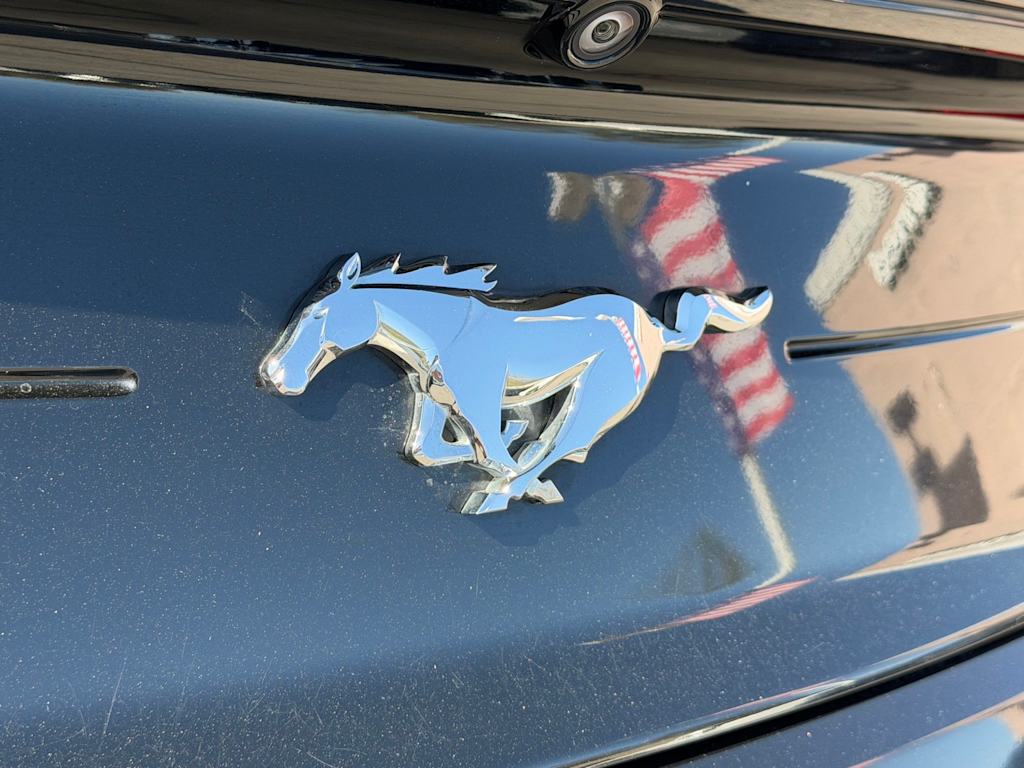 Thumbnail: 2020 Ford Mustang - 6