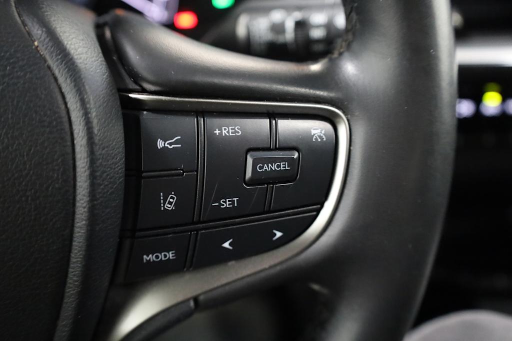 2024 Lexus UX 250h 31
