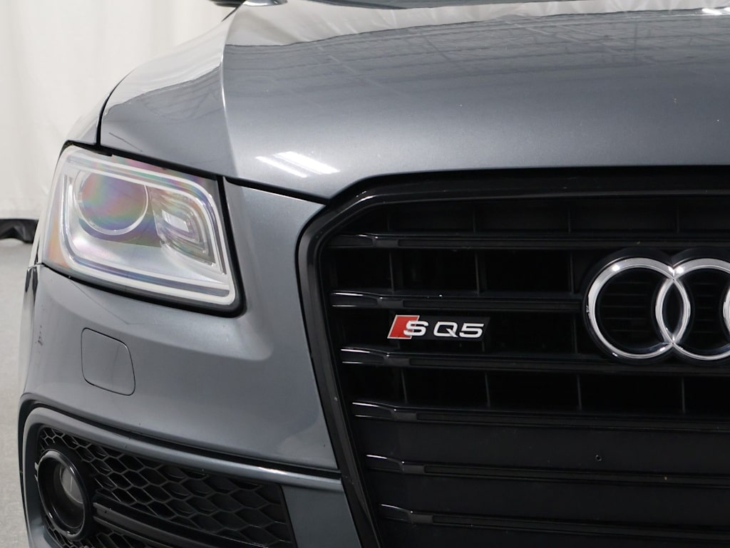 Thumbnail: 2016 Audi SQ5 - 26