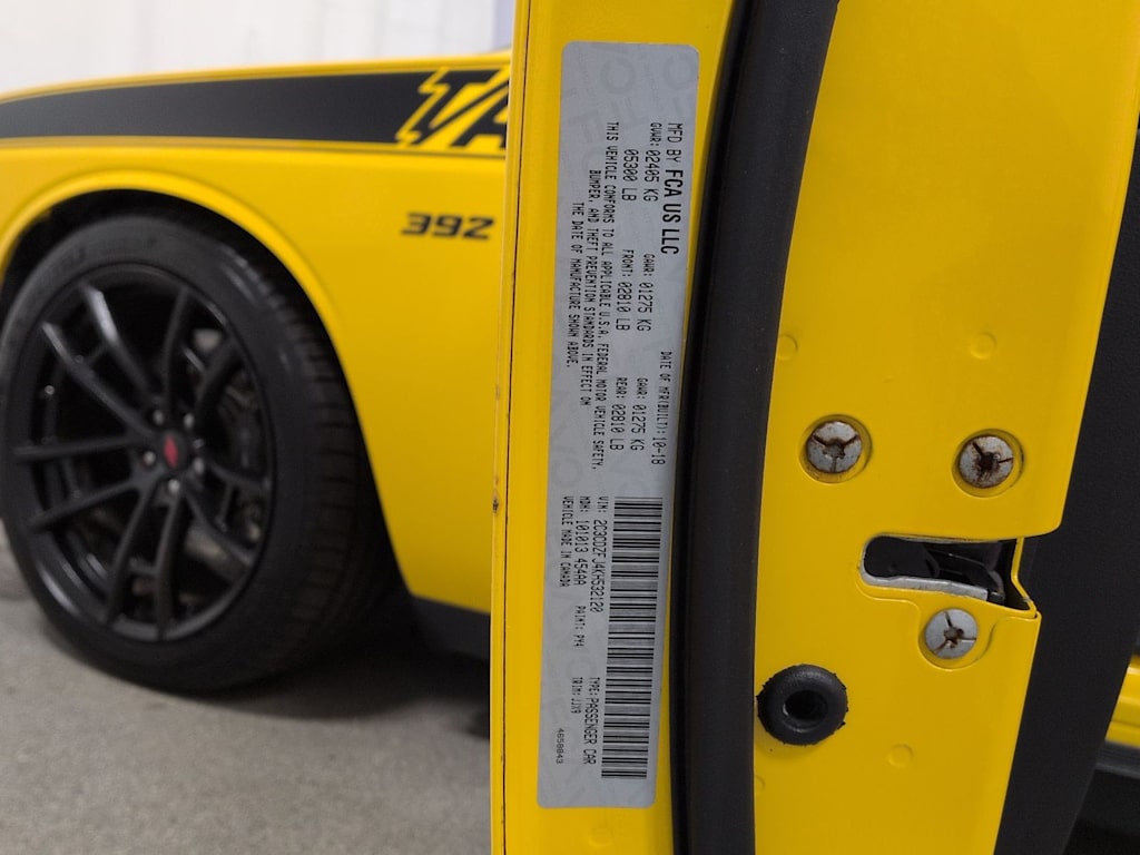 Thumbnail: 2019 Dodge Challenger - 18