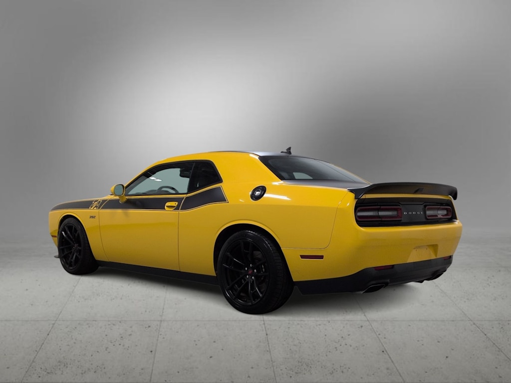 Thumbnail: 2019 Dodge Challenger - 17