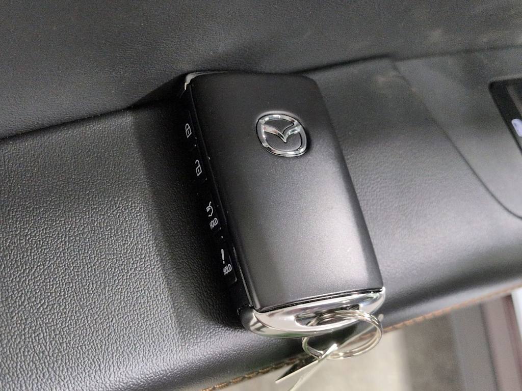 Thumbnail: 2026 Mazda CX-90 - 19
