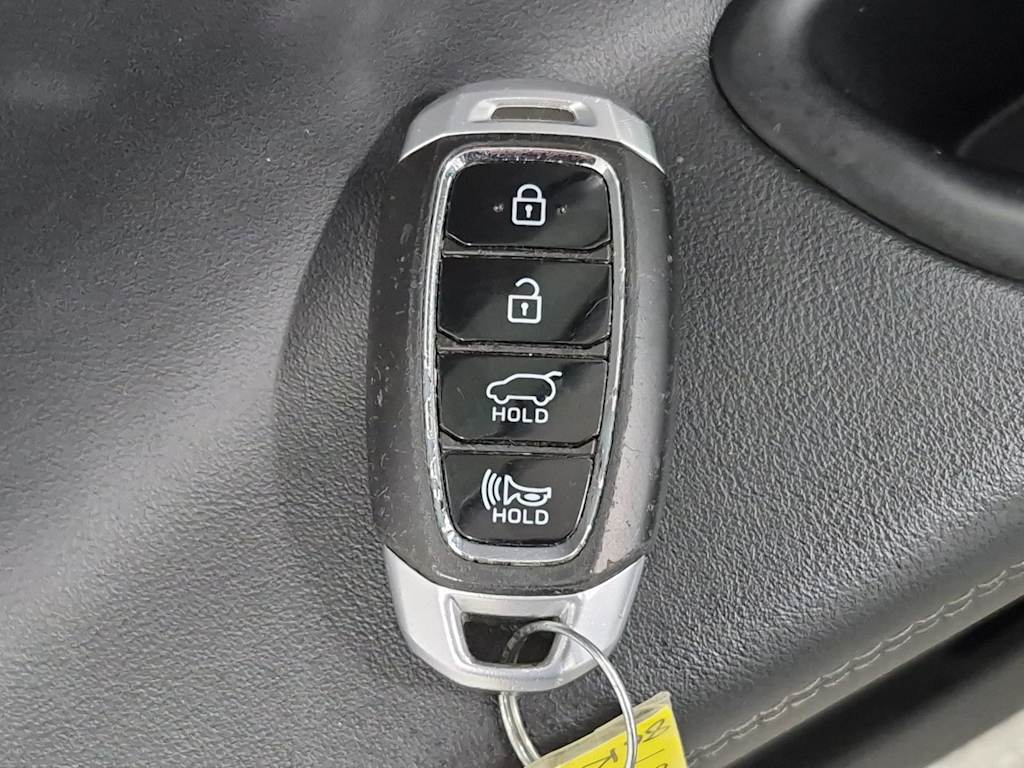 Thumbnail: 2020 Hyundai Santa Fe - 19