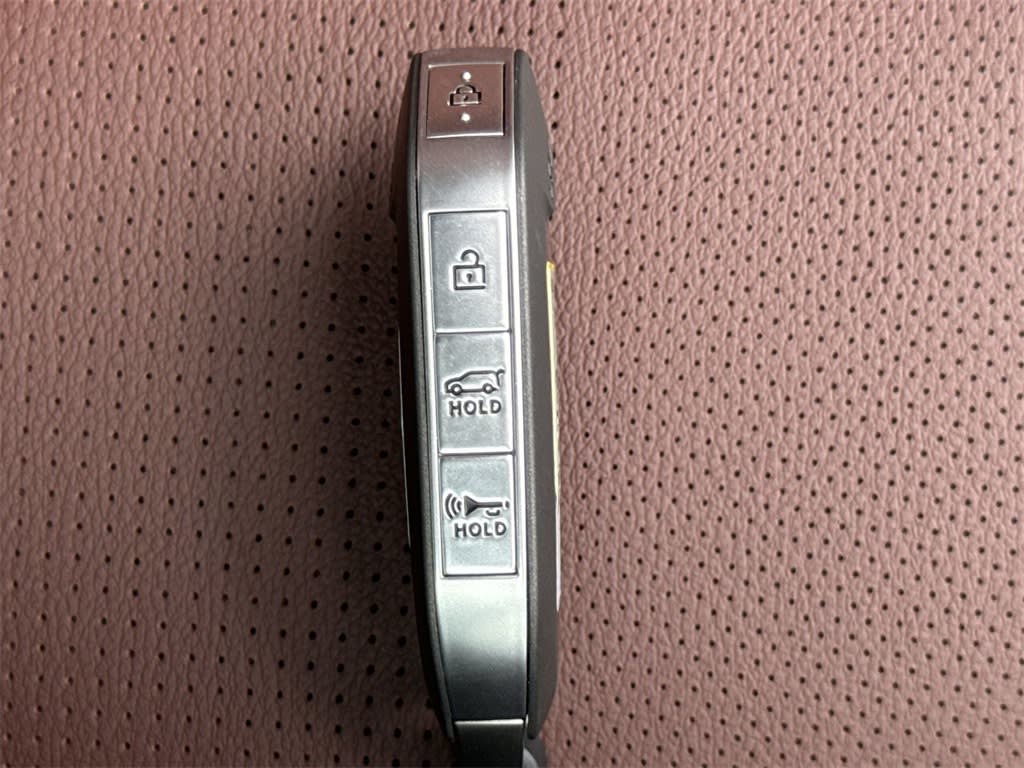 Thumbnail: 2025 Kia Telluride - 17