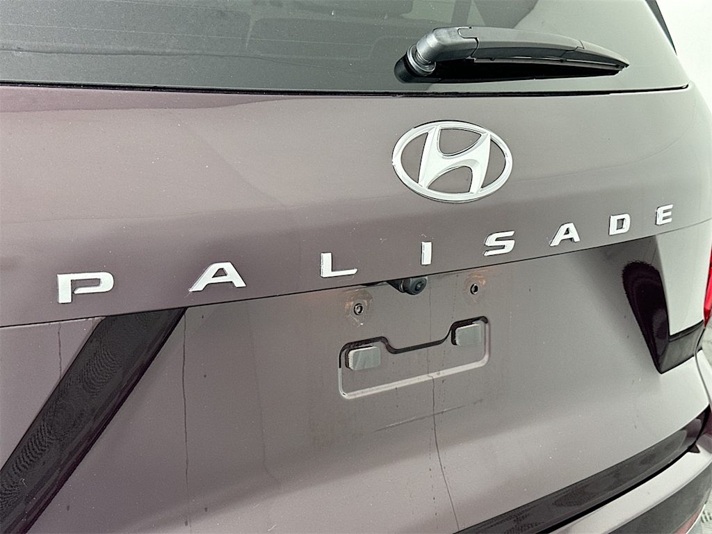 2024 Hyundai Palisade Calligraphy 20