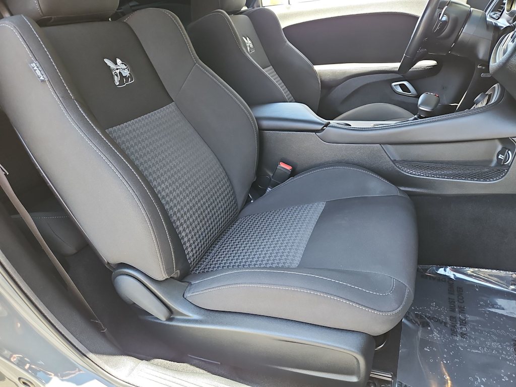 Thumbnail: 2019 Dodge Challenger - 10