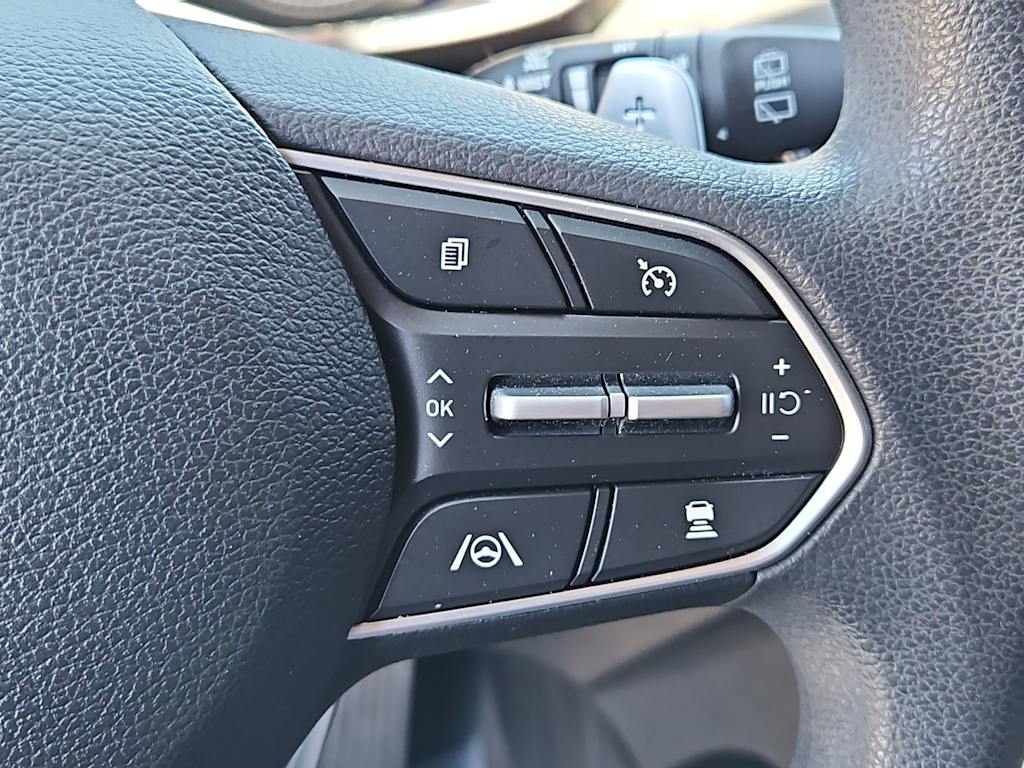 Thumbnail: 2021 Hyundai Santa Fe - 30