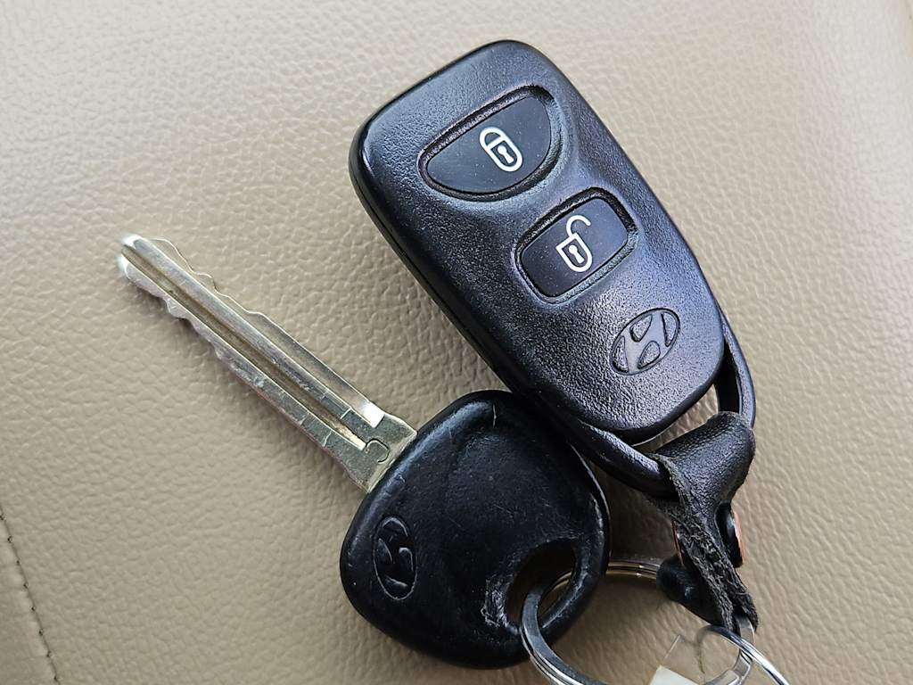 Thumbnail: 2009 Hyundai Santa Fe - 19