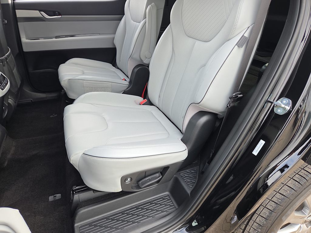 Thumbnail: 2025 Hyundai Palisade - 25