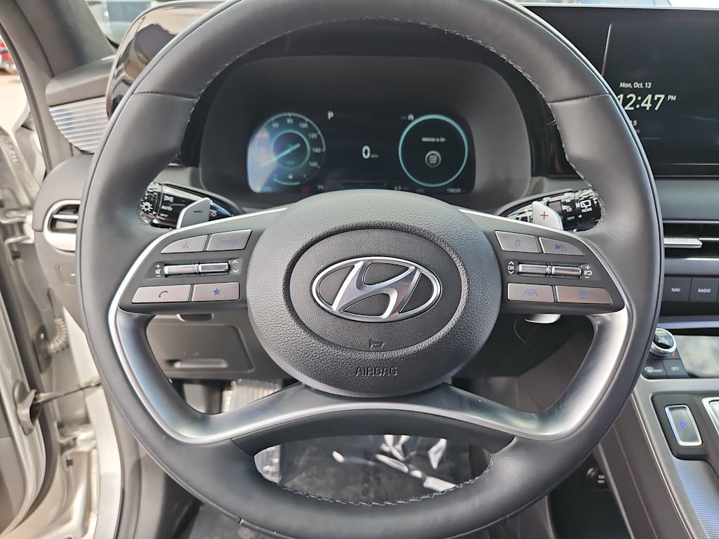 Thumbnail: 2024 Hyundai Palisade - 14