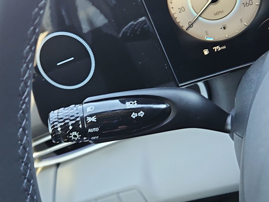 2025 Hyundai Elantra Limited Edition 29
