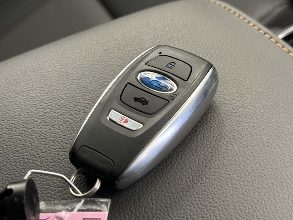 2025 Subaru Outback Wilderness 19