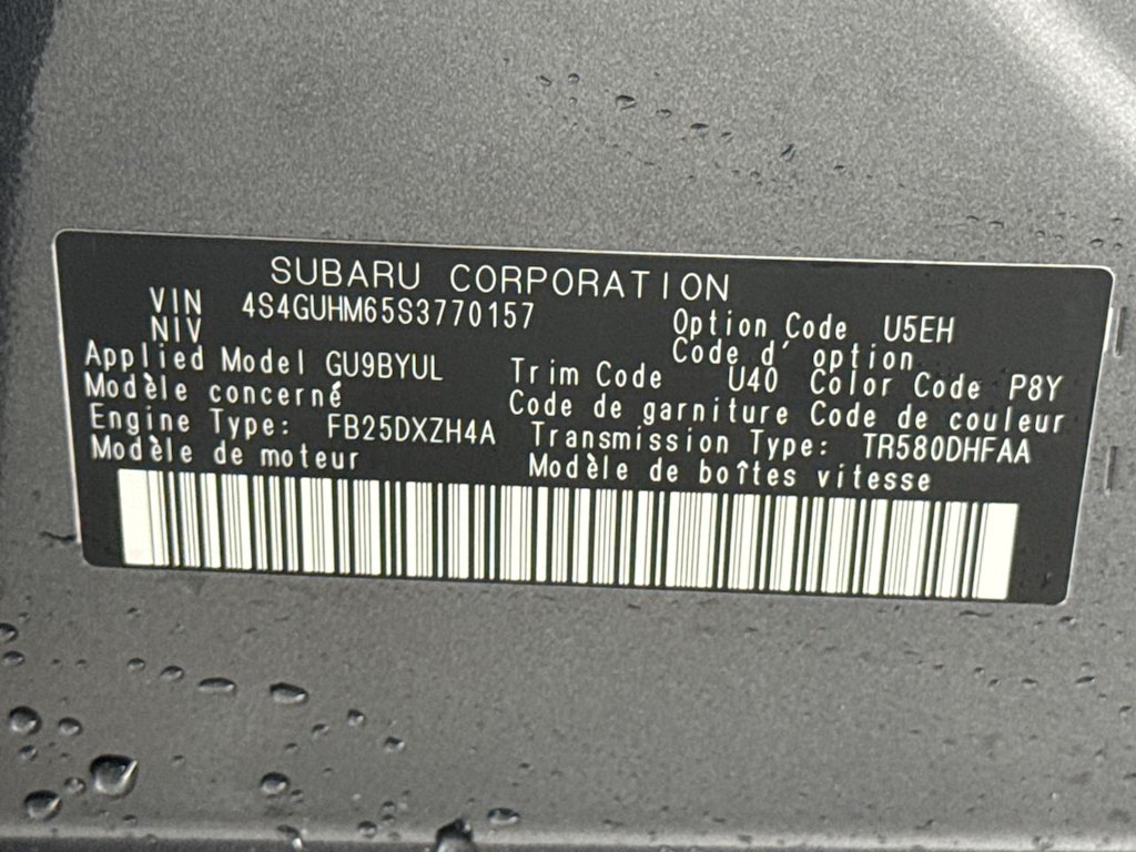 Thumbnail: 2025 Subaru Crosstrek - 19