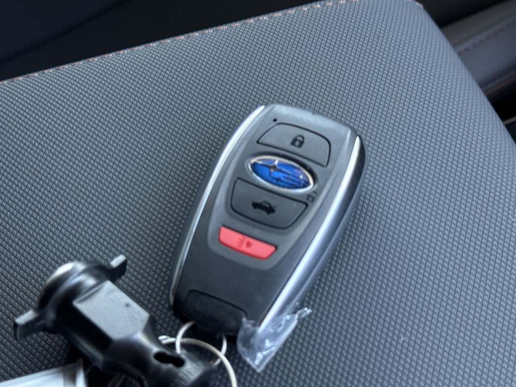 Thumbnail: 2026 Subaru Forester - 19