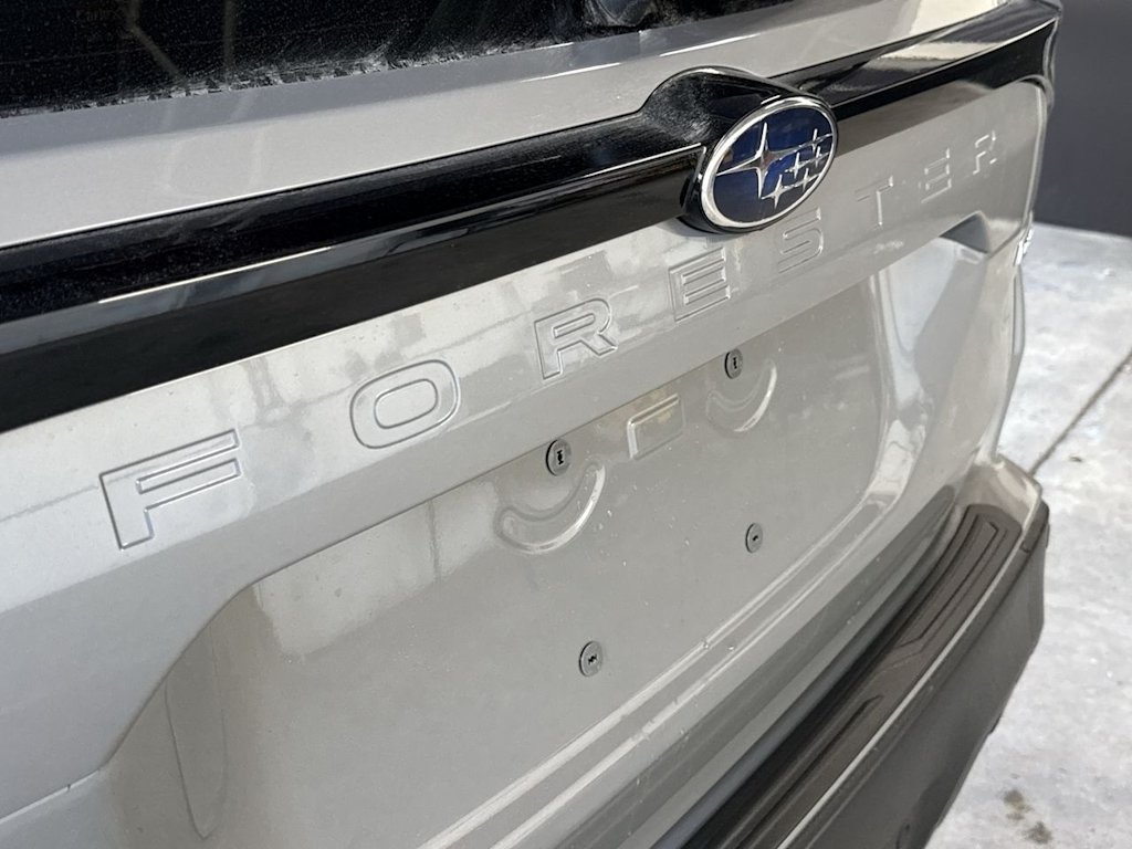 Thumbnail: 2026 Subaru Forester - 7