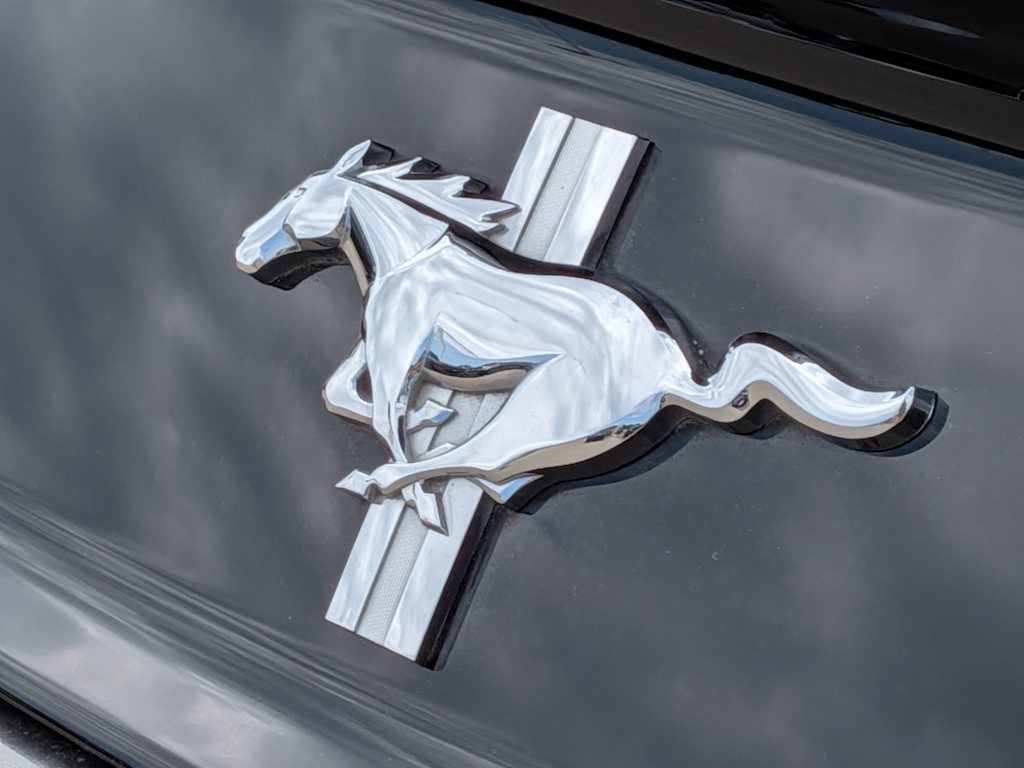 Thumbnail: 2016 Ford Mustang - 17